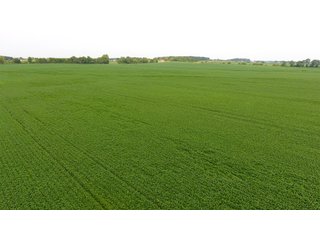 Property photo 11 - IMPORTANT OHIO LAND AUCTION - 325.5+/- ACRES OFFERED IN 8 TRACTS IN PICKAWAY COUNTY, OHIO